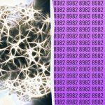 Jednoduchý IQ test: nájdite ďalšie číslo za 9 sekúnd Jednoduchý IQ test: nájdite ďalšie číslo za 9 sekúnd