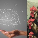 Jednoduchý IQ test: nájdite kurča medzi kohútmi za 7 sekúnd