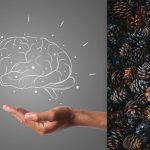 Každý vidí kužele, ale vy musíte nájsť ježka za 7