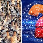 Každý vidí žirafy, ale vy musíte za 8 sekúnd nájsť