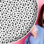 Kde je panda ukrytá: iba ľudia s „orlím zrakom“ ju