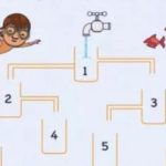 Ktorý džbán sa naplní vodou ako prvý: hádanka pozornosti Ktorý džbán sa naplní vodou ako prvý: hádanka pozornosti