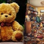 Len jeden z piatich dokáže vyriešiť hádanku: štvrtého medveďa musíte nájsť za 36 sekúnd. Len jeden z piatich dokáže vyriešiť hádanku: štvrtého medveďa musíte