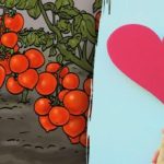 Len málo ľudí dokáže nájsť srdce medzi paradajkami za 4