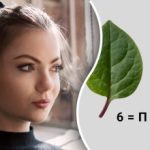 Musíte uhádnuť slovo zašifrované na obrázkoch: len málo z nich