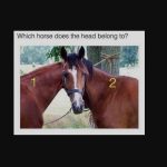 Na internete sa objavila nová hádanka: túto ilúziu môžu vyriešiť len ľudia s vysokým IQ Na internete sa objavila nová hádanka: túto ilúziu môžu vyriešiť