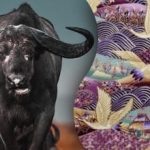 Nájdi býka na obrázku za 15 sekúnd: hádanka pre najpozornejších