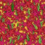 Nájsť lietadlo za 12 sekúnd je hádanka pre tých, ktorí