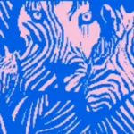 Obrázkový test: optická ilúzia určí, ako ste spoločenskí Obrázkový test: optická ilúzia určí, ako ste spoločenskí