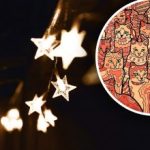 Optická ilúzia pre ľudí s orlím zrakom: musíte nájsť hviezdu