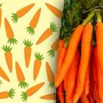 "Podivnú" mrkvu nájdu len ľudia s "orlím zrakom": záhada, ktorá vás zaskočí „Podivnú“ mrkvu nájdu len ľudia s „orlím zrakom“: záhada, ktorá