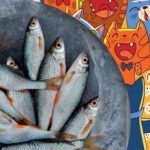 Potreba nájsť ryby medzi mačkami: zábavná hádanka pre ľudí s