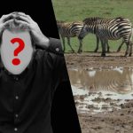 Rýchly IQ test: nájdite psa v poli za 6 sekúnd Rýchly IQ test: nájdite psa v poli za 6 sekúnd