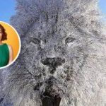 „Uzavretý“ alebo „spoločenský“ človek: čo o vás môže prezradiť optická